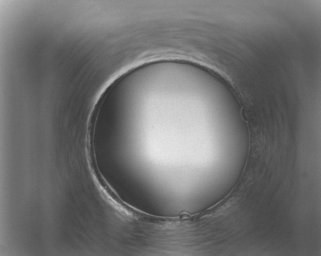 X0000059851518200511041826