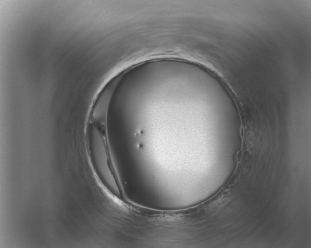 X0000059851519200511041826