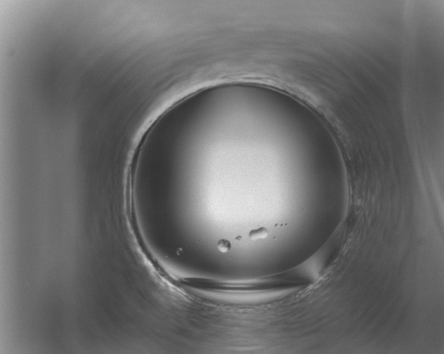 X0000059851520200511041826