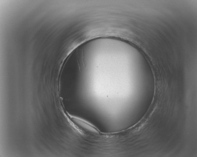 X0000059851521200511041826