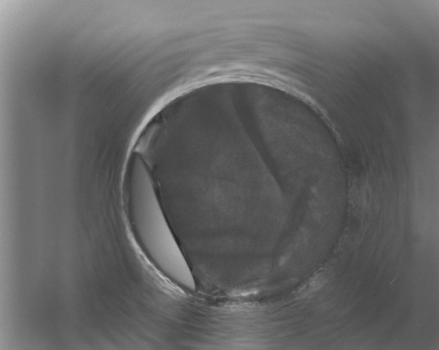 X0000059851522200511041826