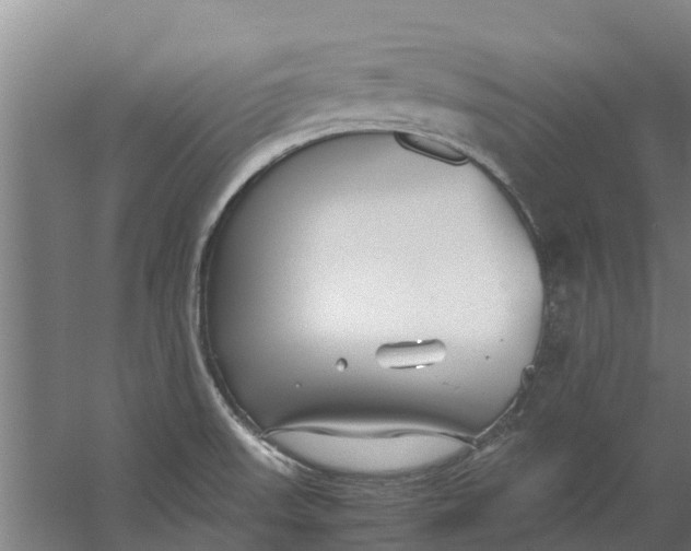 X0000059851523200511041826