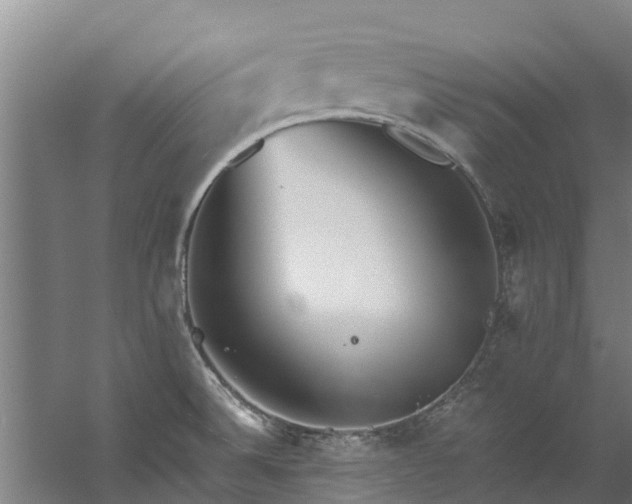 X0000059851524200511041826