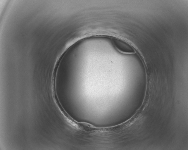 X0000059851525200511041826