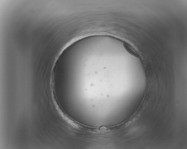 X0000059851526200511041826