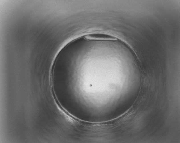 X0000059851527200511041826