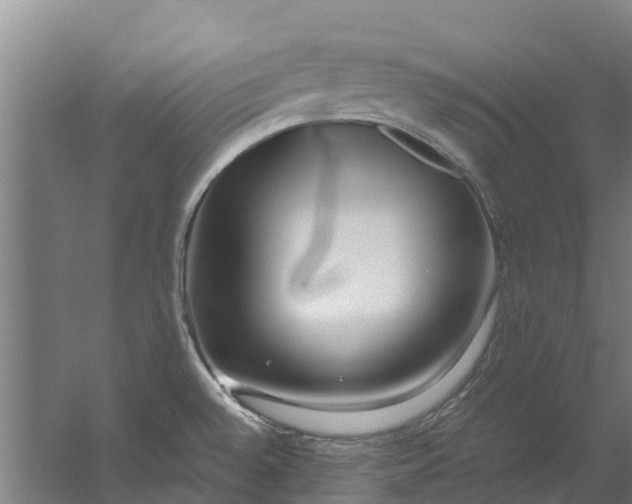 X0000059851528200511041826