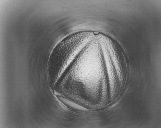 X0000059851529200511041826