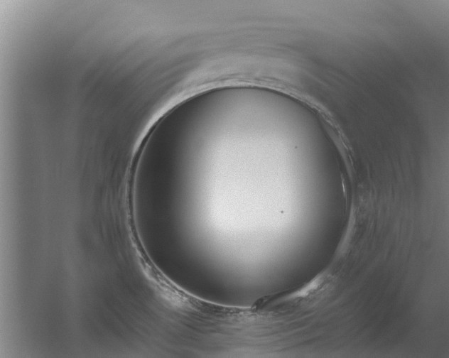 X0000059851530200511041826