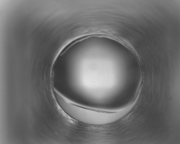 X0000059851532200511041826