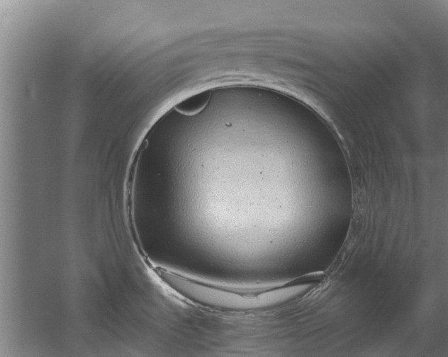 X0000059851535200511041826