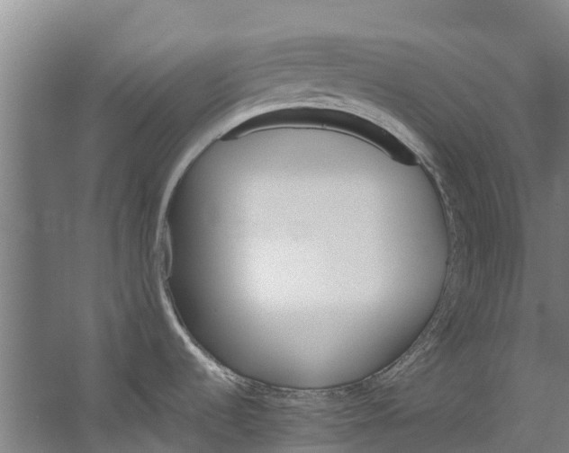 X0000059851536200511041826