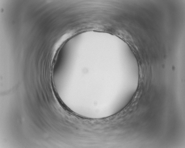 X0000059850003200511111823