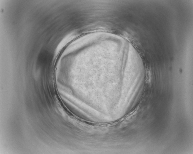 X0000059850004200511111823