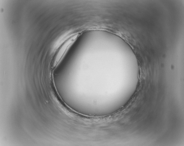 X0000059850005200511111823