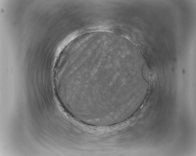 X0000059850006200511111823