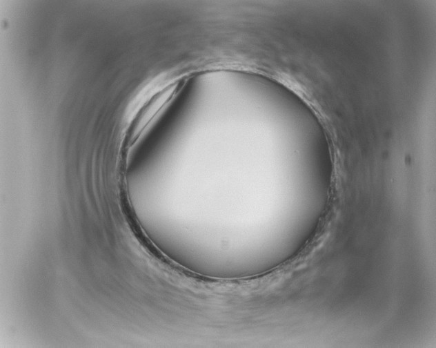 X0000059850007200511111823