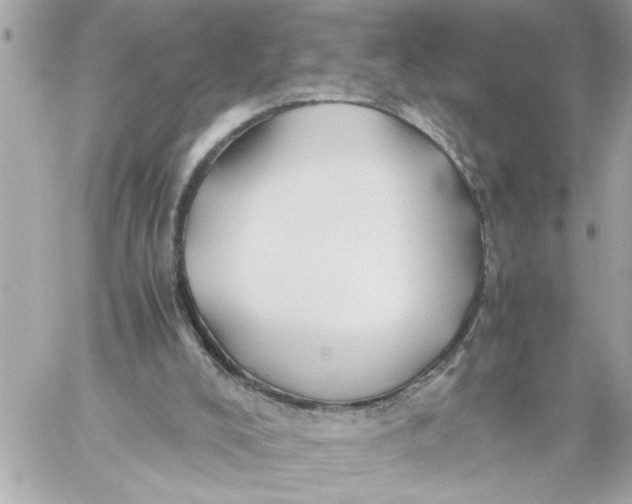 X0000059850008200511111823