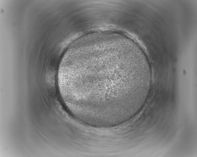 X0000059850010200511111823