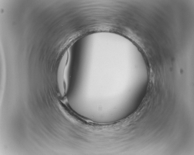 X0000059850013200511111823