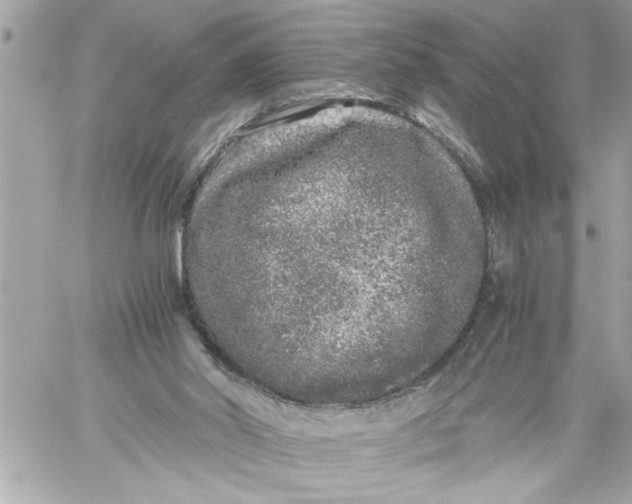 X0000059850014200511111823