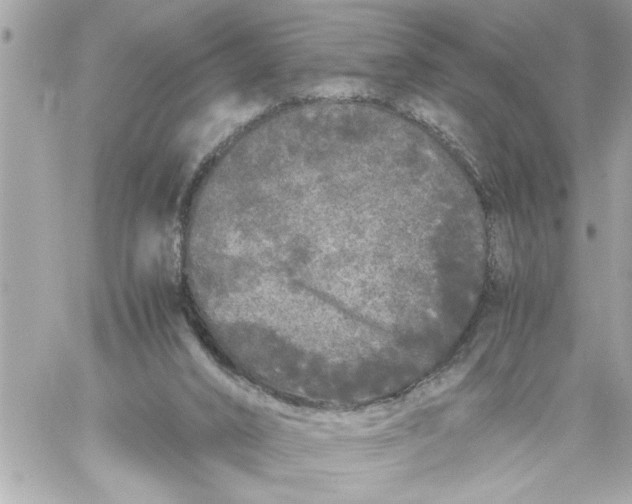 X0000059850016200511111823