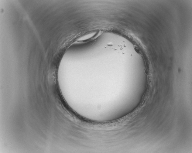 X0000059850017200511111823