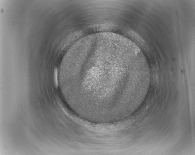 X0000059850022200511111823