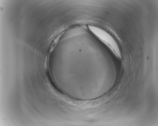 X0000059850023200511111823