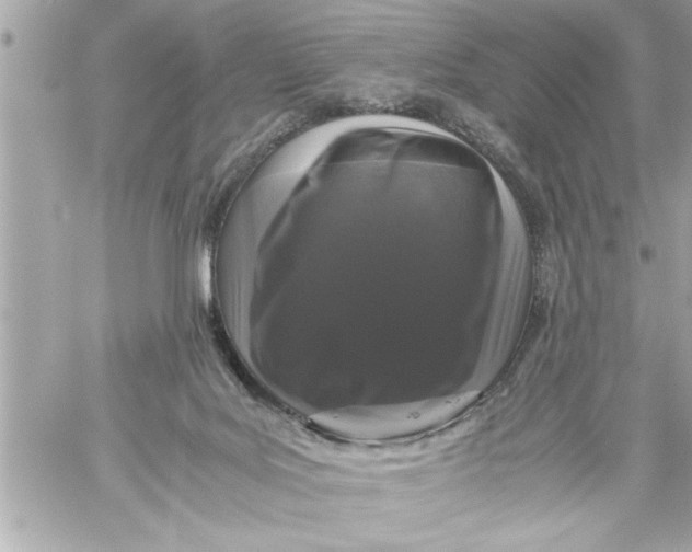 X0000059850027200511111823