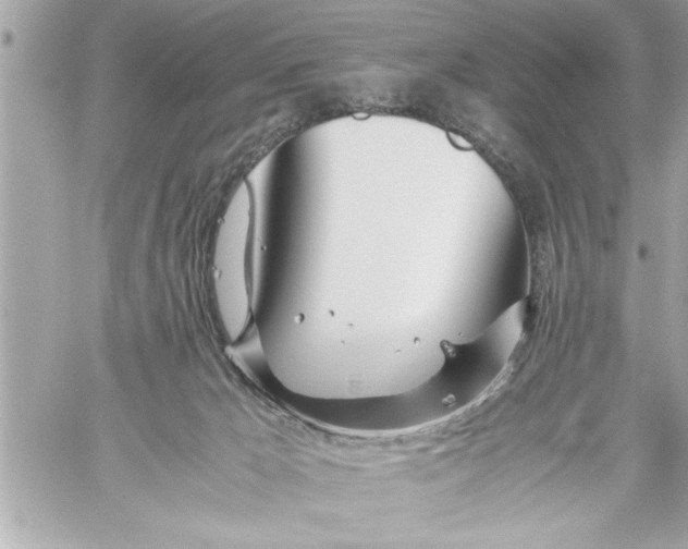 X0000059850029200511111823