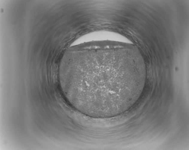 X0000059850030200511111823