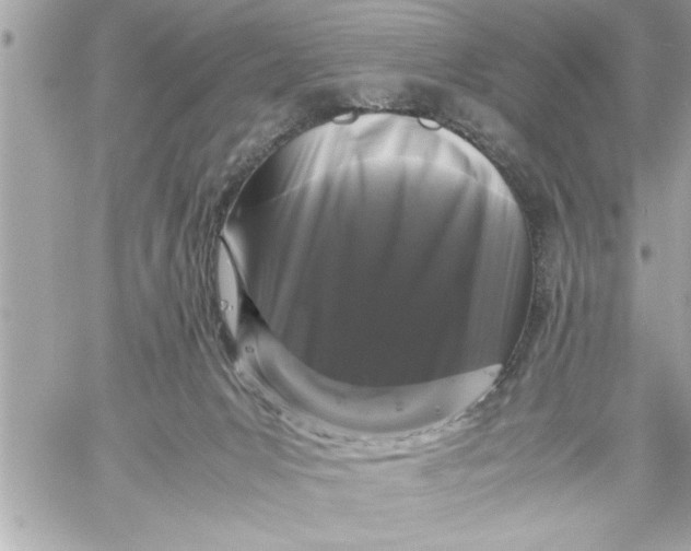 X0000059850031200511111823