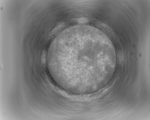 X0000059850032200511111823