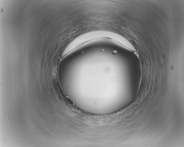 X0000059850033200511111823