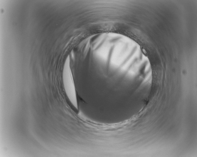 X0000059850035200511111823