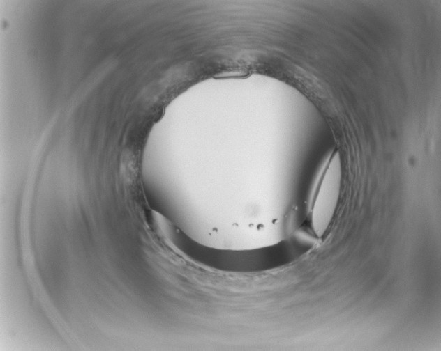 X0000059850037200511111823