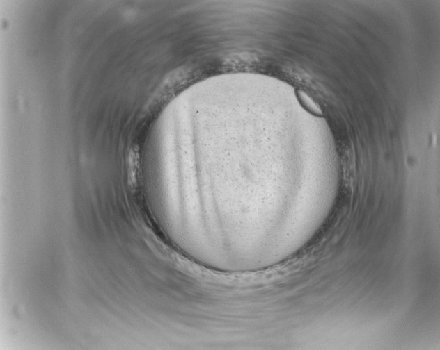 X0000059850038200511111822