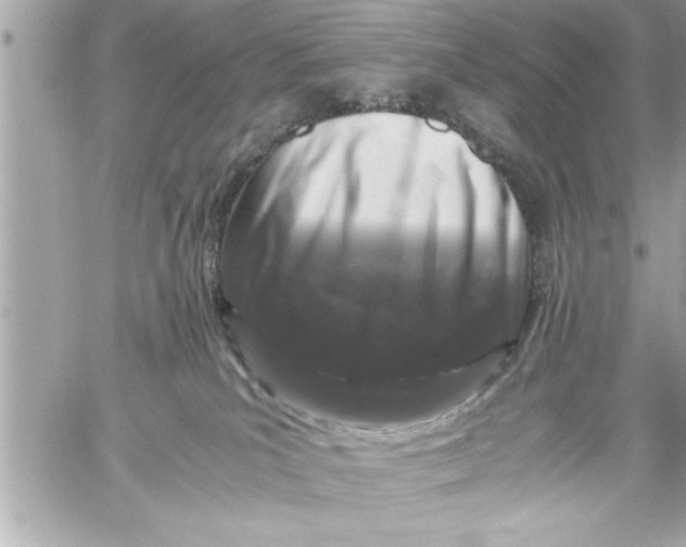 X0000059850039200511111822