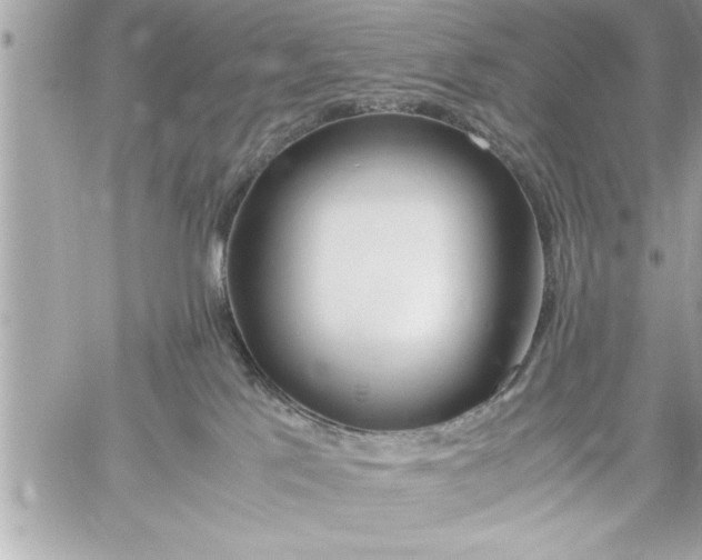 X0000059850041200511111822