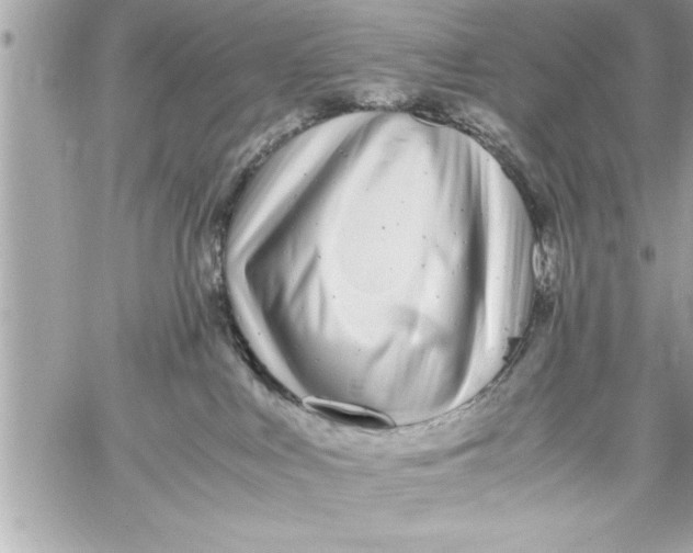 X0000059850043200511111822