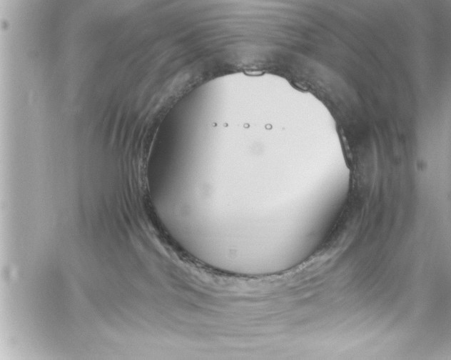 X0000059850044200511111822