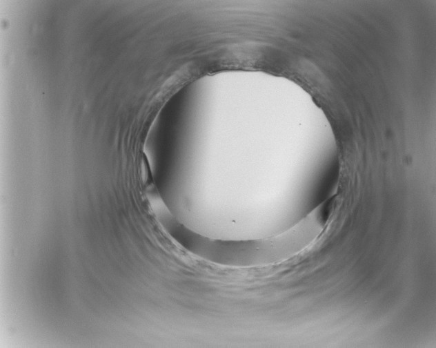 X0000059850045200511111822