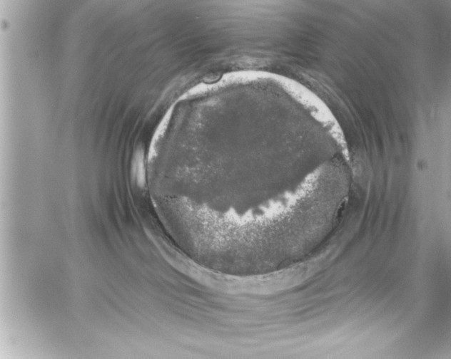 X0000059850046200511111822