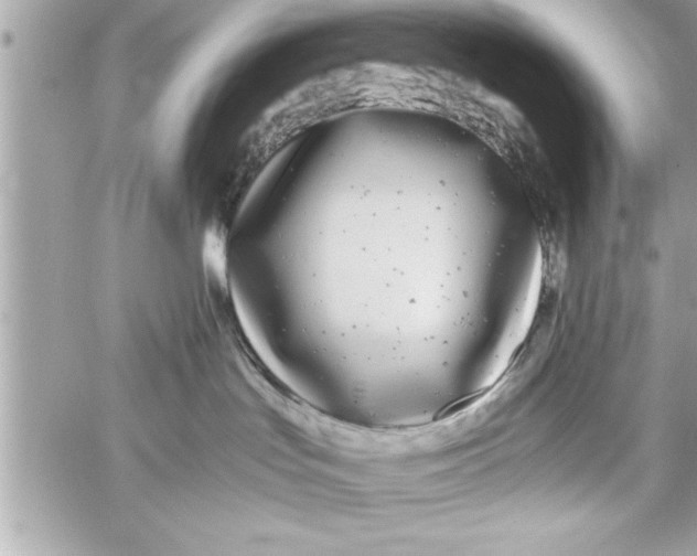 X0000059850047200511111822