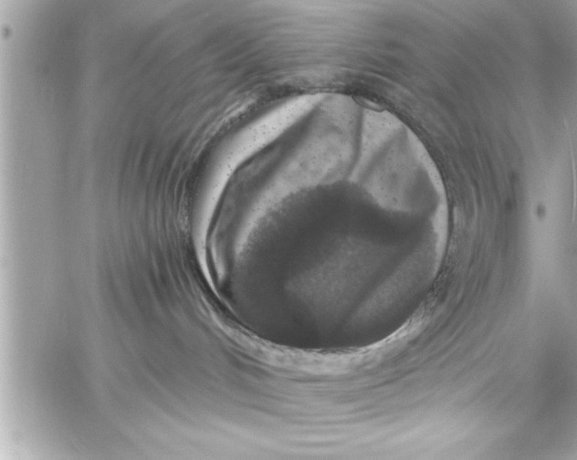 X0000059850048200511111822