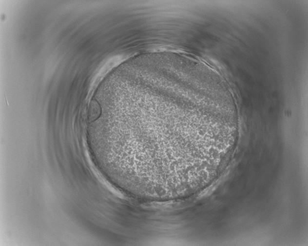 X0000059850049200511111821