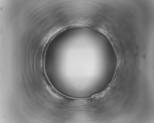 X0000059850050200511111822