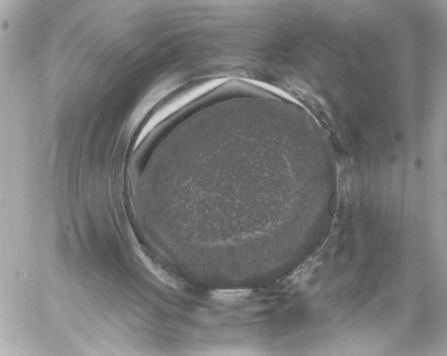 X0000059850051200511111822