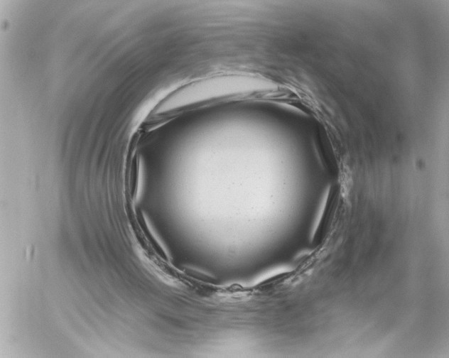 X0000059850052200511111822